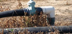 Pipe In Field