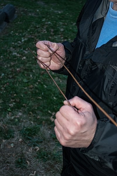 400px-Ghost_dowsing_rods_-_Riverside_Cemetery | SeeScan Ghost dowsing rods