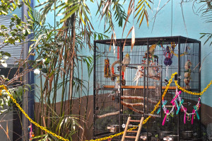 atrium